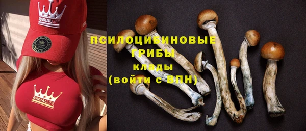 сатива Наволоки